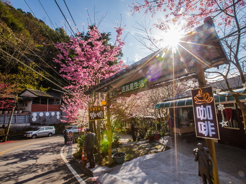 拉拉山光明休閒農場