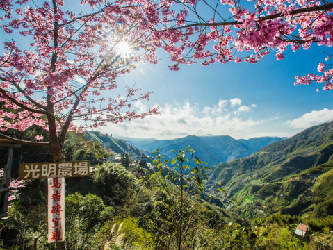 拉拉山光明休閒農場