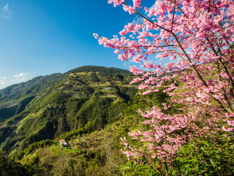 拉拉山光明休閒農場